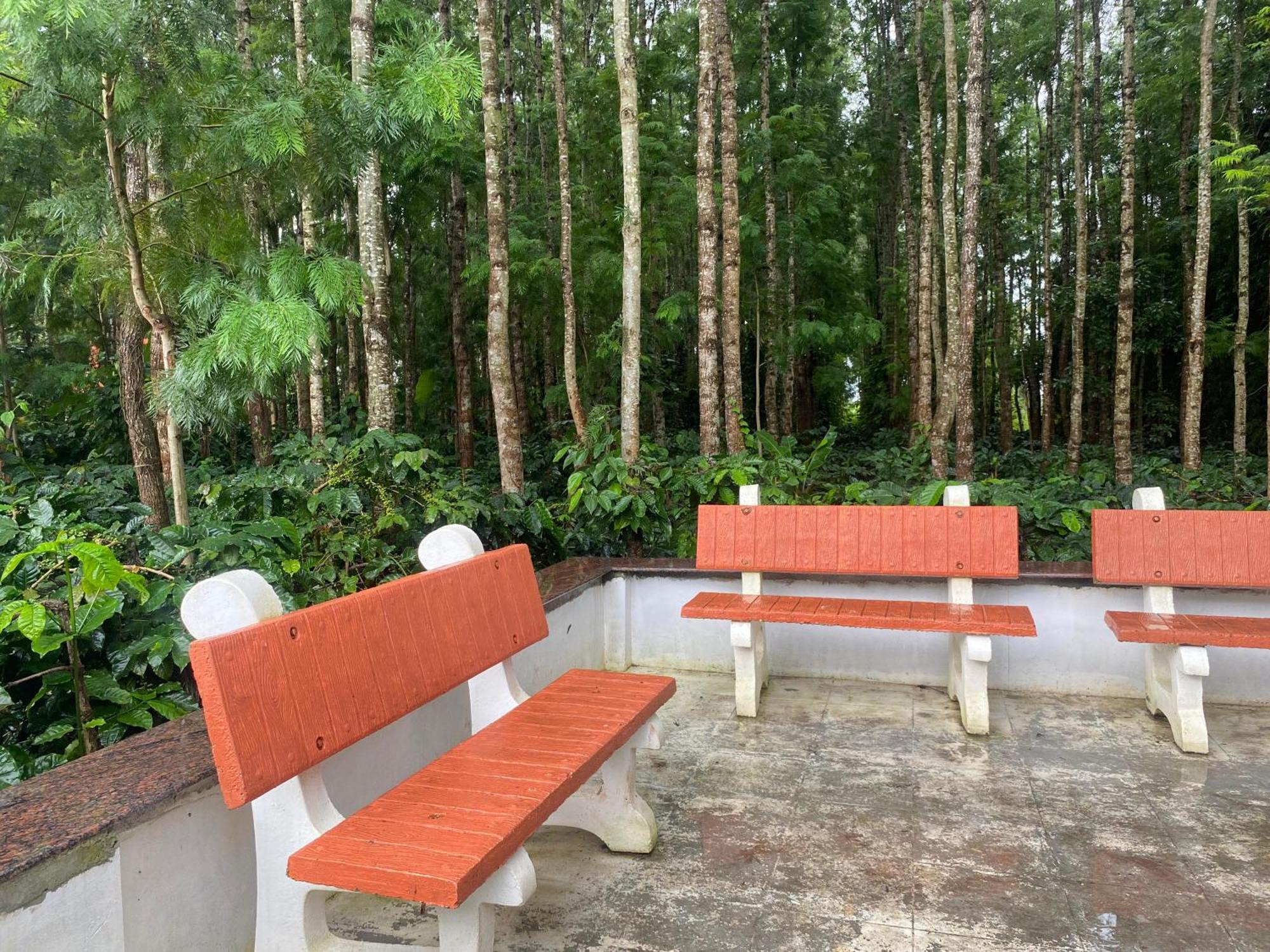 Bougain Villa Chikmagalūr エクステリア 写真
